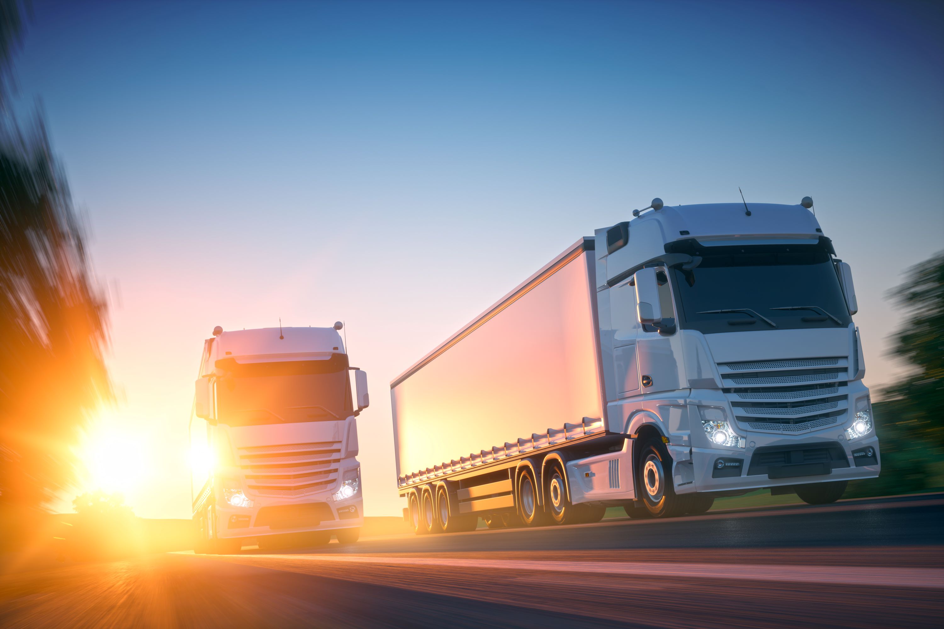 VDO-Fleet-Tachograph-Management