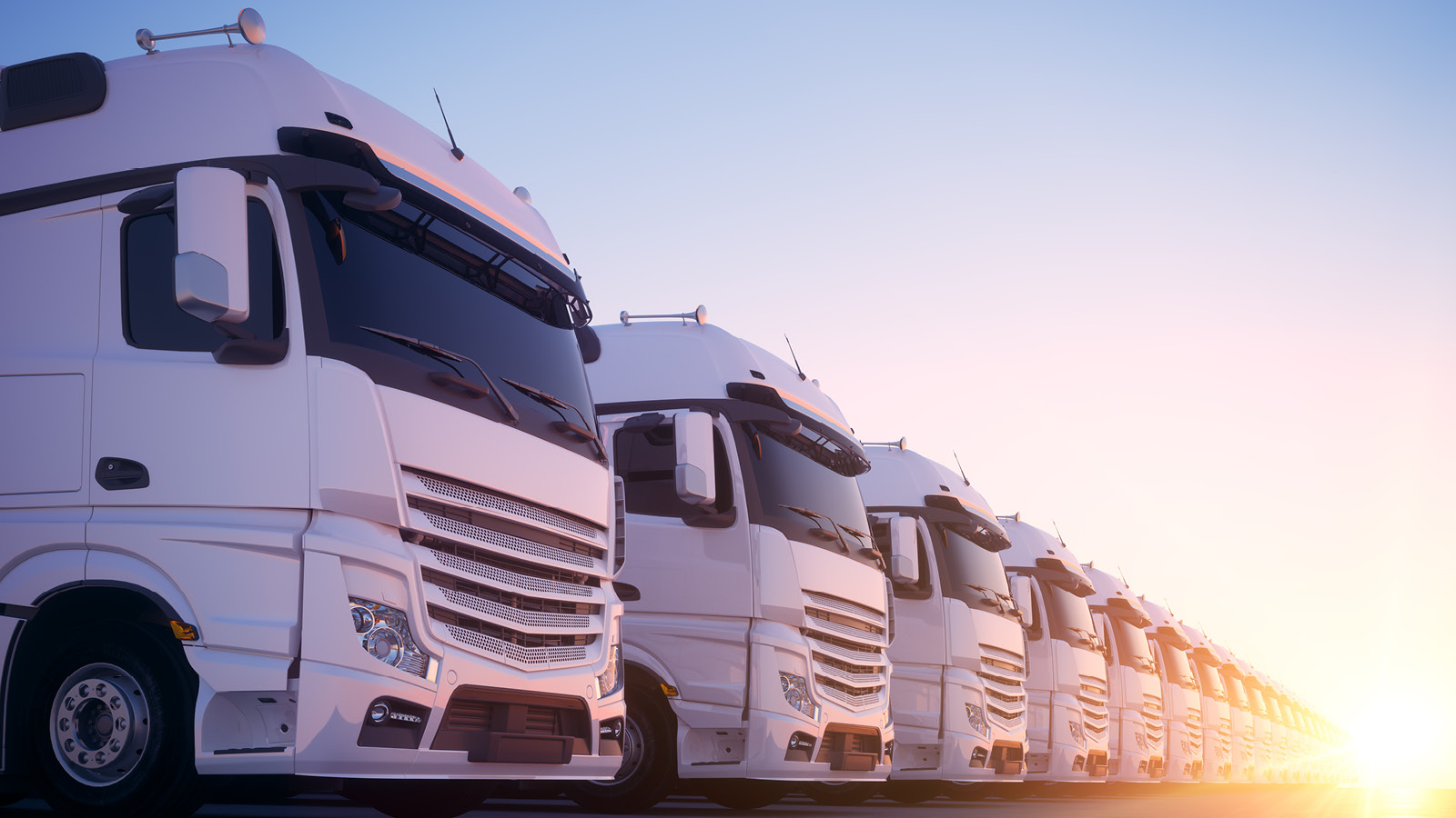 Several white trucks of a fleet are neatly lined up next to each other in the sunrise.