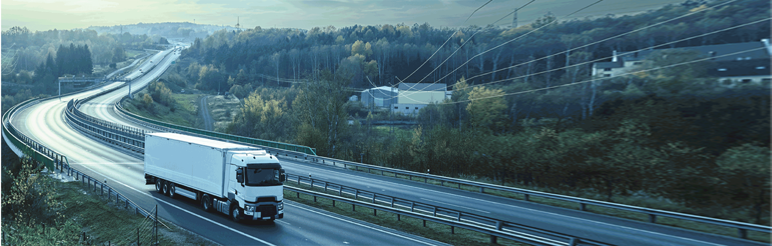 VDO Fleet Europe